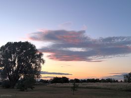 Evening walk