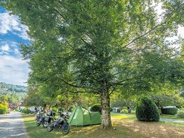 Grass pitches shaded by trees