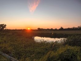 Gorgeous sunsets across the river