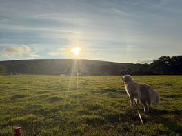 Cosdon hill