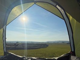 Morning sunshine
