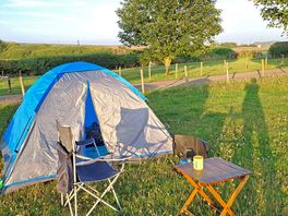 Summer evenings outside