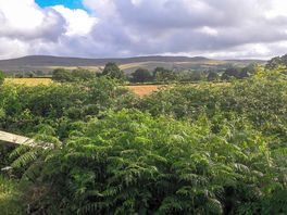View from campsite