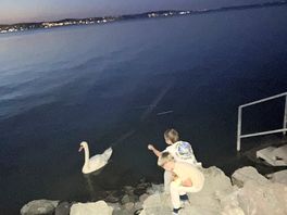 Balaton- night