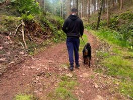 Walk from campsite into woods