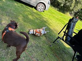 The boys loving their holiday too!