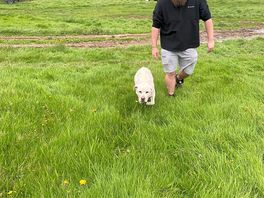 One of the 3 labs