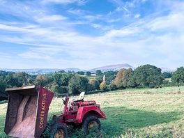 View out into the field.