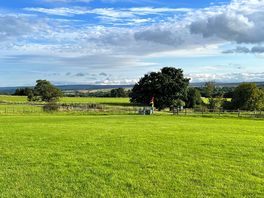 View from my van