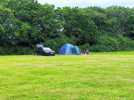 Small grass pitch
