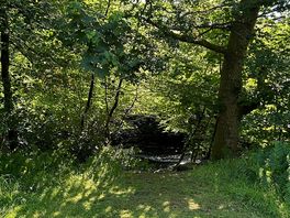 The bank by the tent
