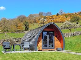 Pet-friendly pod