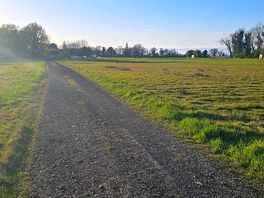 Walk nearby