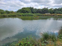 Duck lake at bottom of site