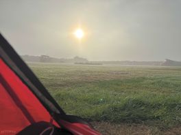 Early morning mist