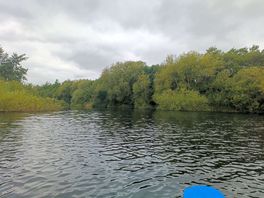 On the lake