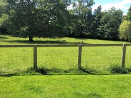 View from my camper van