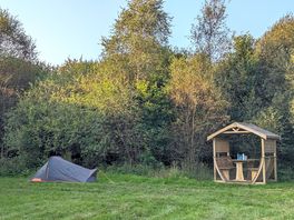 Cae ddel. camping pitch with a wooden hut.