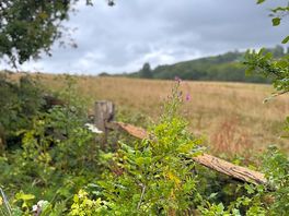View scross the fields
