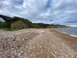 The beach