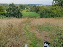 On way to the pub