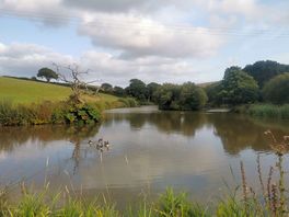 Fishing lake