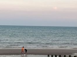 Winchelsea beach