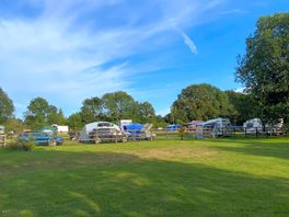 Main field