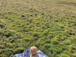 So quiet and relaxed!