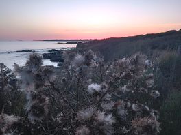 Coucher du soleil vu du camping