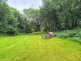 Wodland setting
