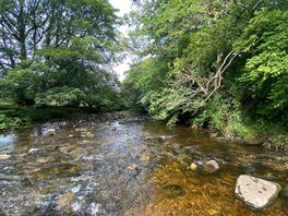 The kids loved playing in the stream