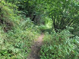 Hiking path