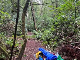 Secluded plot with wheelbarrow assistance
