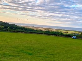 The view
