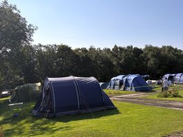 Peaceful campsite