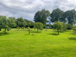 Orchard