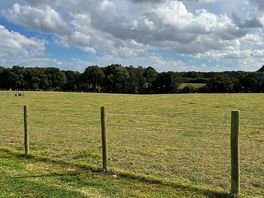 Pitch view