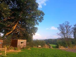 Glorious sunshine