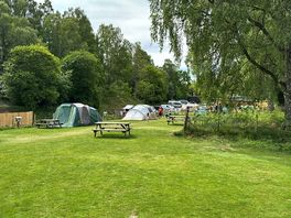 Electric hook up tents + small tents and carpark behind.