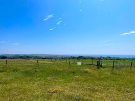 Views from site