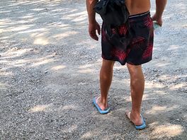 Il campeggio e situato sotto a questi bei albwri.