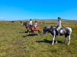 Horse riding at chorwell riding stables was well worth the money