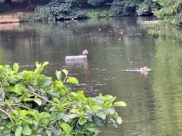 Gorgeous lakes with lots of wildlife