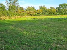 Field