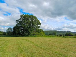 View from the site.