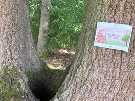 Hidden little gem