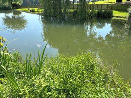 Lovely carp/roach lake 1mile