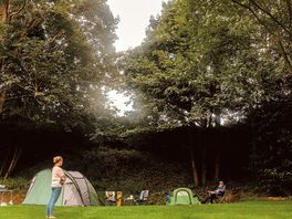The Dell grassy pitches