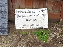 Fun sign